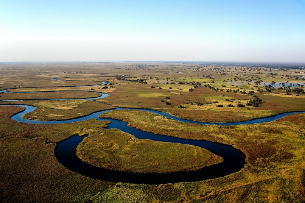 Safari in the Okavango Delta in Botswana