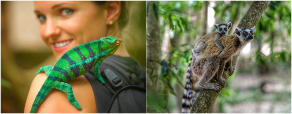 Catherine, iguana and lemurs